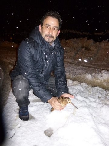 Beccaccia nella neve con Gianni (Gianfranco Capoccia Arci Caccia).jpg